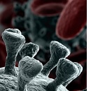 L'uso della mascherina aiuta a limitare la diffusione del virus, ma deve essere adottata in aggiunta ad altre misure di igiene respiratoria e delle mani. L'uso della mascherina aiuta a limitare la diffusione del virus, ma deve essere adottata in aggiunta ad altre misure di igiene respiratoria e delle mani.