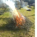 Si pubblicano in questa pagina le disposizioni inerenti la combustione (fuochi) dei residui vegetali agricoli e forestali.