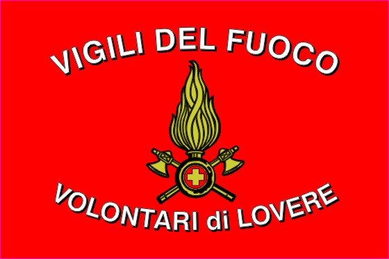 Logo VFV